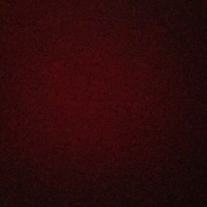 Meet your Posher, Isabel